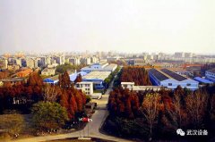 为驱逐党的19大